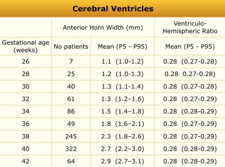 left ventricular diameter chart